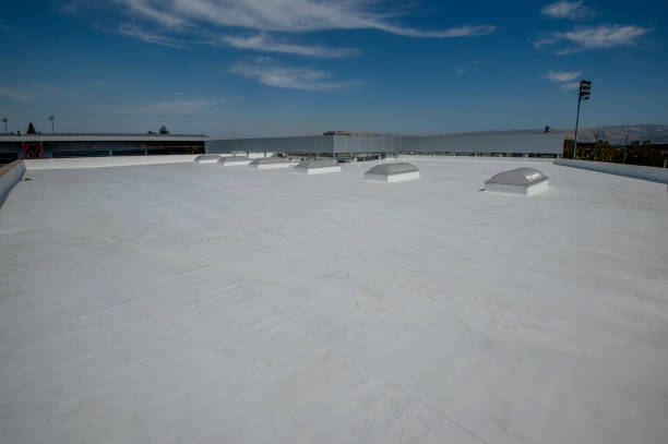 Best Gutter Installation and Repair  in Rolla, MO