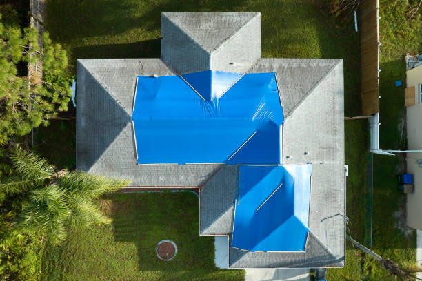 Best Asphalt Shingle Roofing  in Rolla, MO