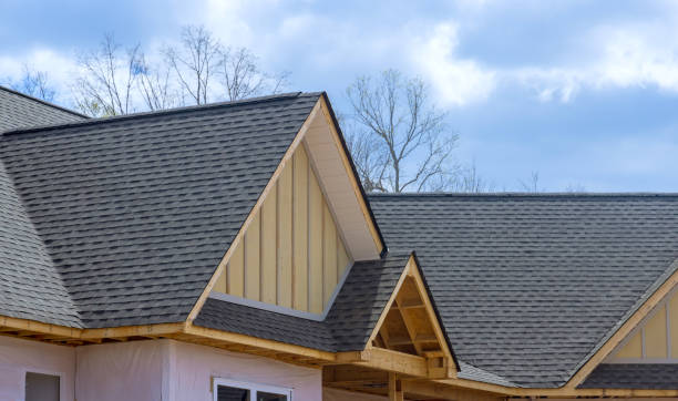 Best Roof Repair  in Rolla, MO